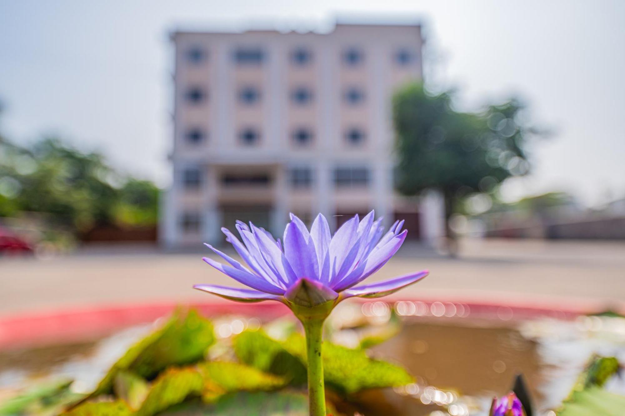 Hotel Lotus Leaf à Pali  Extérieur photo